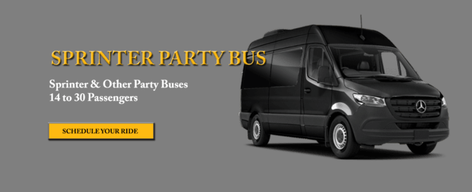 Chicago Sprinter Party Van